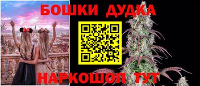 молекула духа Бийск