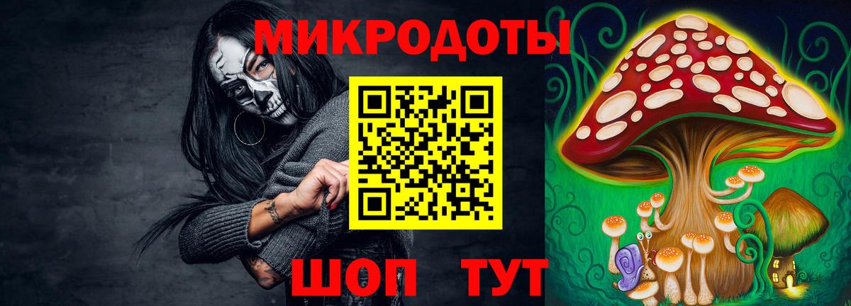 Камень-на-Оби  Псилоцибиновые грибы Magic Shrooms  Вход с VPN  Псилоцибиновые грибы прущие грибы 